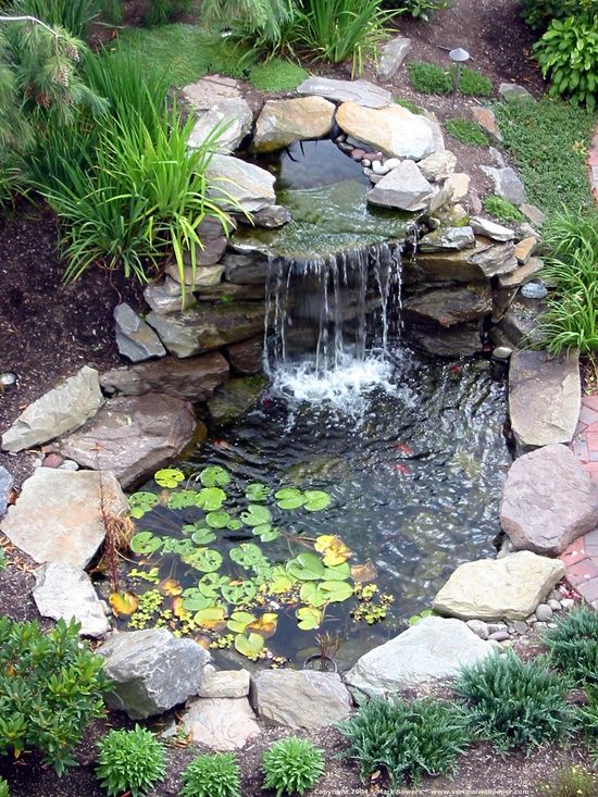 Pond and Waterfall